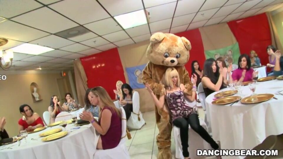 Impressive lady - female friendly trailer - Dancing Bear