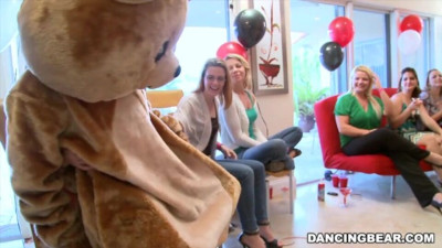 Dancing Bear - dancingbear action